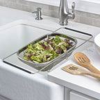 Expandable Sink Strainer